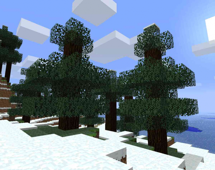 Файл:Conifers.png
