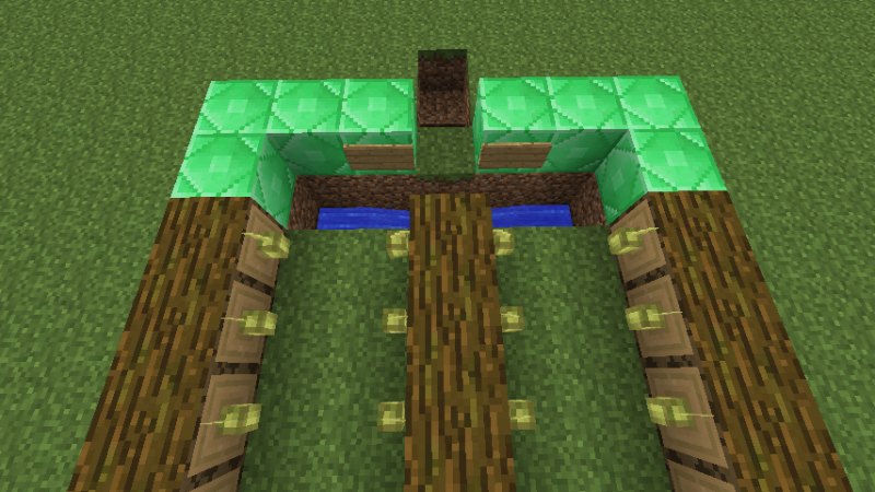 Файл:Cacao farm6.png
