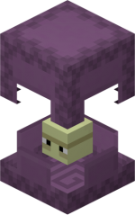 ShulkerShell copy 7.png
