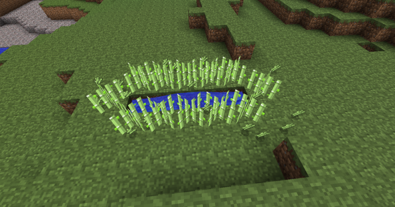 Файл:SimpleReedfarm-6.png