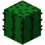 Cactus.png